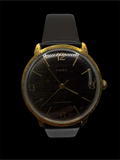 Timex Vintage Mechanical
