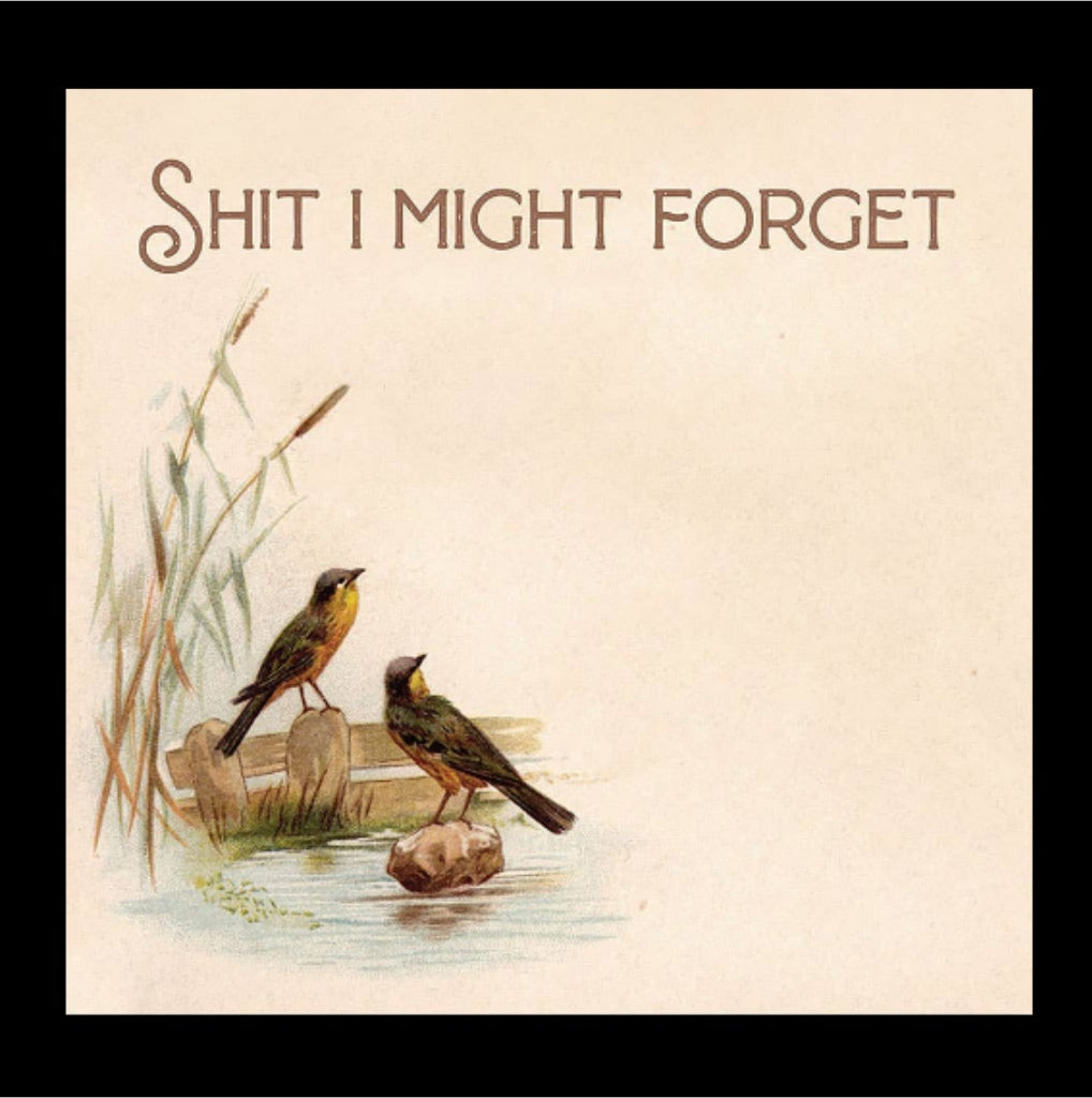 Shit I Might Forget - Sticky Note Pad